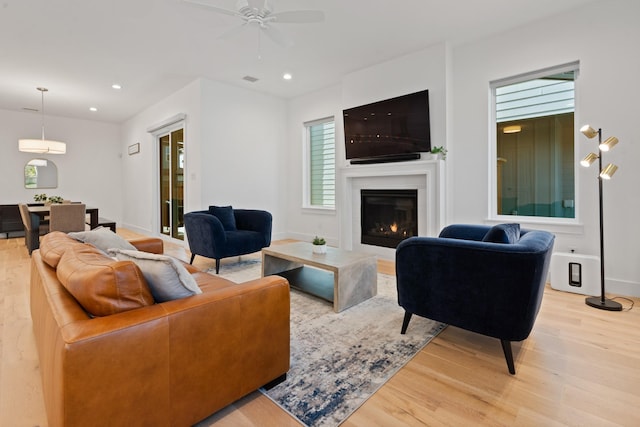 living room with ceiling fan and light wood-type flooring