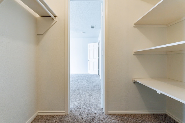 spacious closet featuring carpet floors