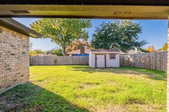 view of yard featuring a shed