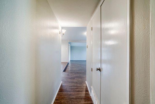 hall featuring dark hardwood / wood-style floors