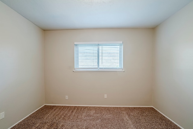 spare room with carpet