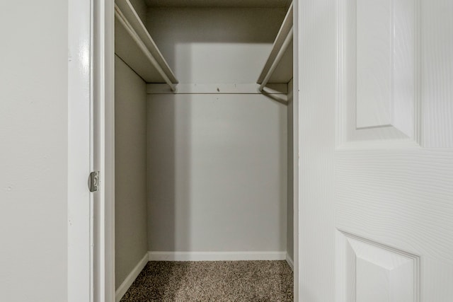 walk in closet with carpet