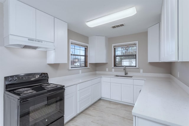 kitchen with black range with electric stovetop, plenty of natural light, sink, and white cabinets