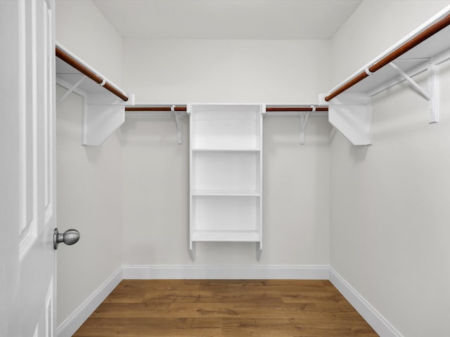 spacious closet with hardwood / wood-style floors