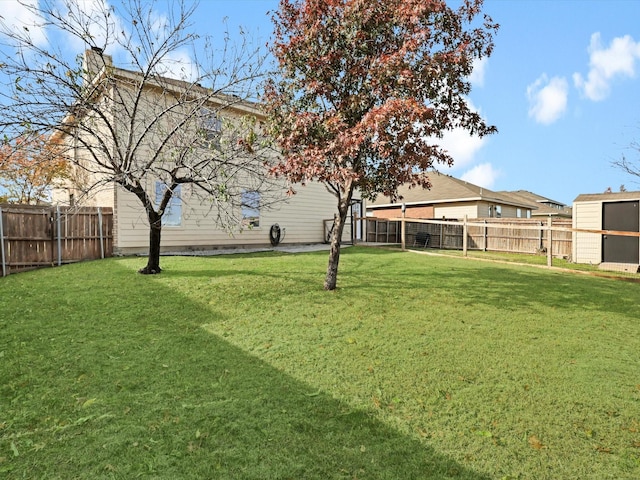 view of yard with a storage unit