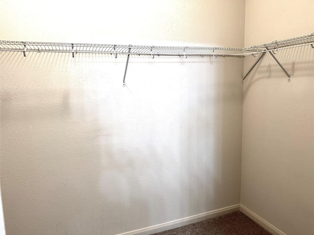 walk in closet featuring carpet