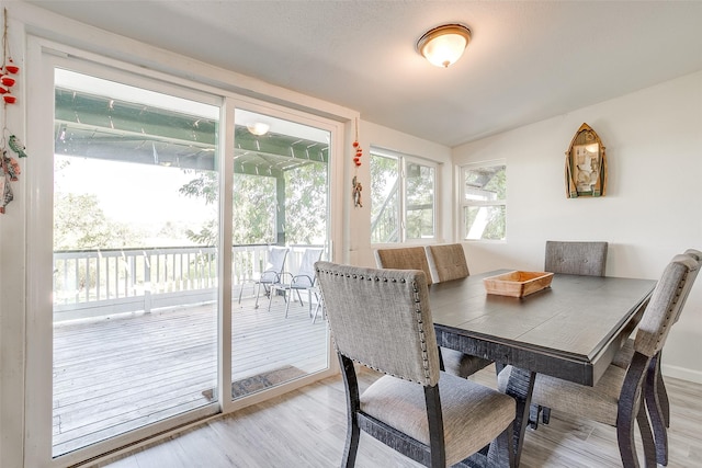 dining space featuring hardwood / wood-style flooring