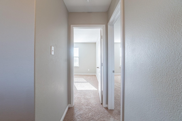 hallway with light colored carpet