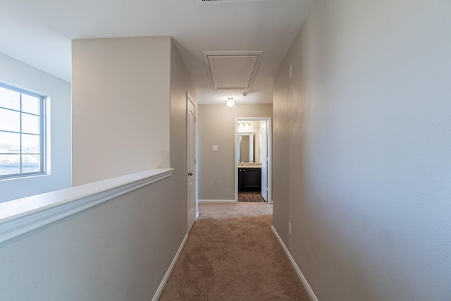 hall featuring light colored carpet