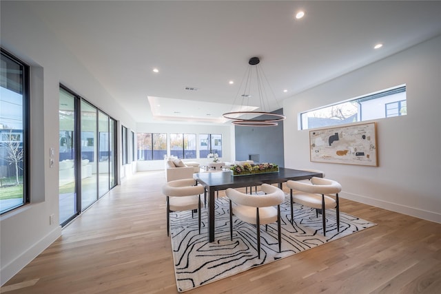 dining room with light hardwood / wood-style flooring