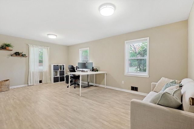 office space featuring a healthy amount of sunlight and light wood-type flooring