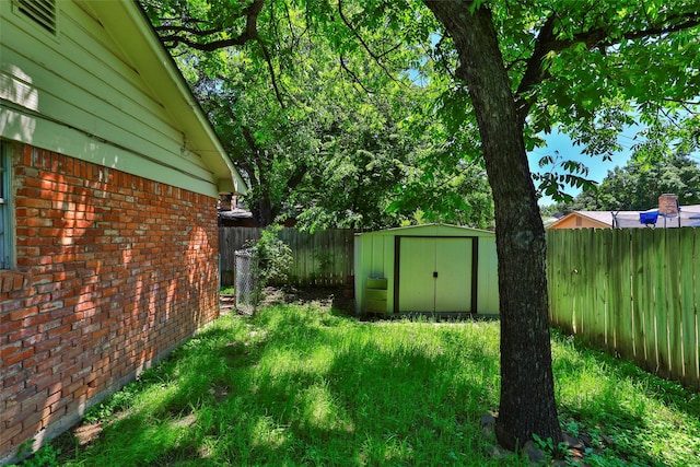 view of yard with a shed