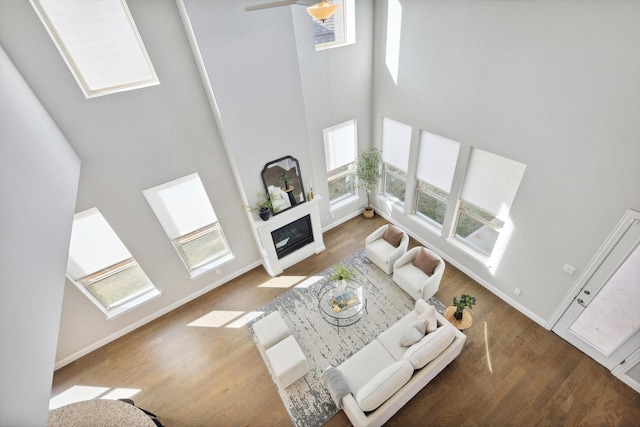 living room featuring a healthy amount of sunlight, wood-type flooring, and a high ceiling