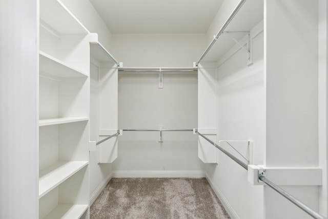 walk in closet with carpet floors