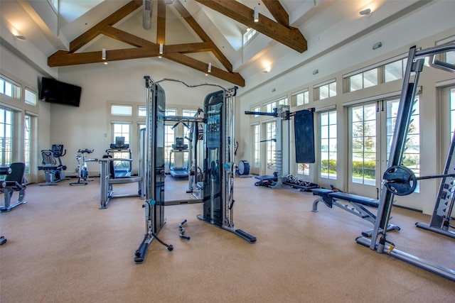 gym featuring carpet and high vaulted ceiling