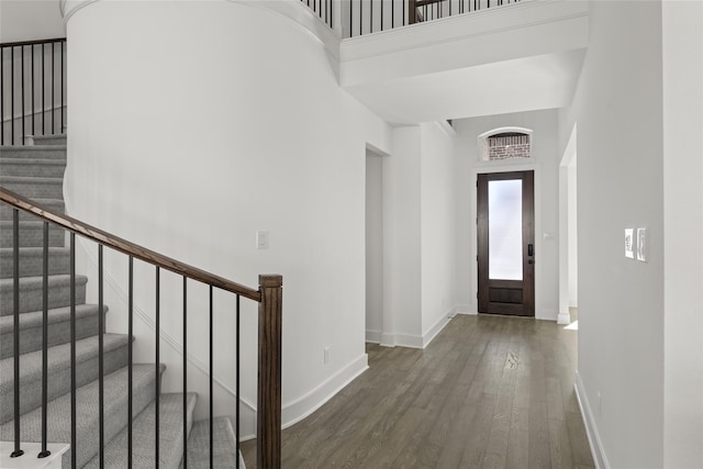 foyer entrance with dark hardwood / wood-style floors and a high ceiling