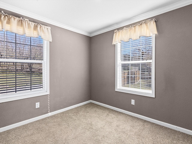 carpeted empty room featuring crown molding and plenty of natural light