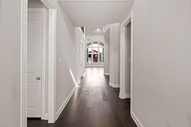 corridor with dark hardwood / wood-style floors