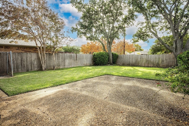 view of yard featuring a patio area