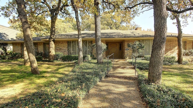 ranch-style house with a front yard