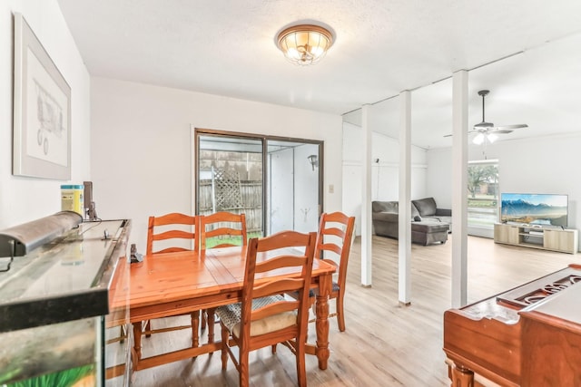 dining room with ceiling fan, light hardwood / wood-style flooring, and a textured ceiling