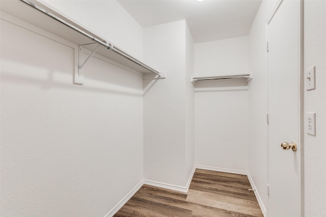 spacious closet with hardwood / wood-style flooring