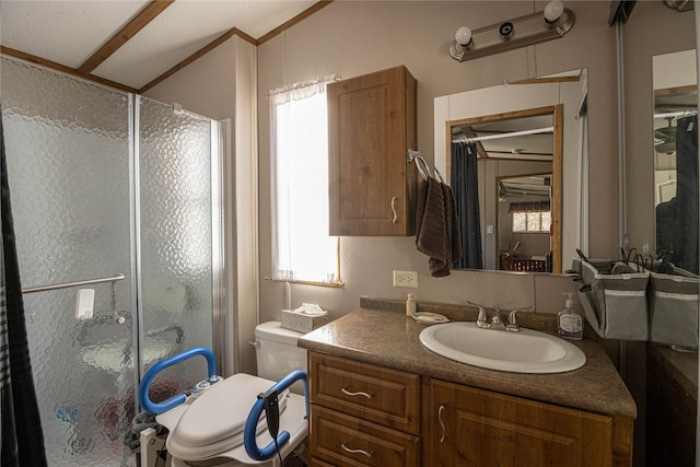 bathroom with vanity, a shower with shower door, and toilet