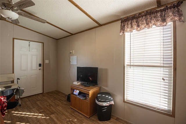 living room featuring a textured ceiling, vaulted ceiling, ceiling fan, and dark wood-type flooring