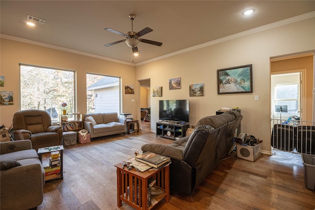 living room with wood-type flooring, ceiling fan, and ornamental molding