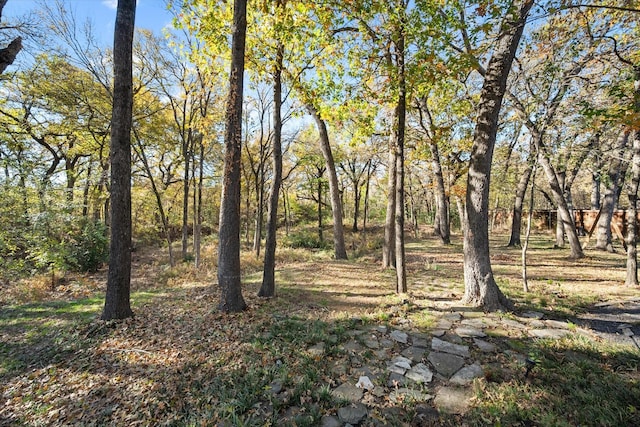 view of landscape