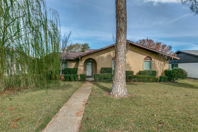 ranch-style home featuring a front lawn