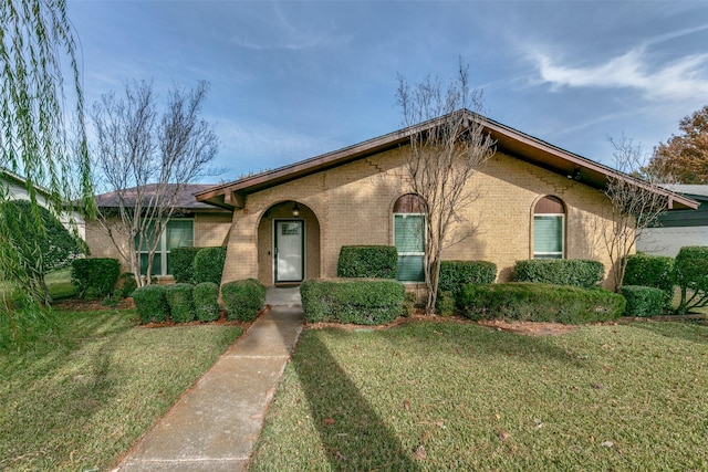 ranch-style home with a front yard