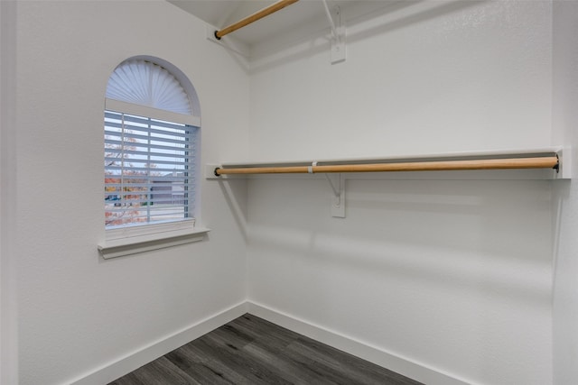 walk in closet featuring dark wood-style flooring