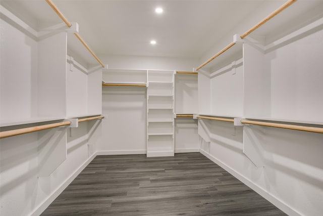 spacious closet featuring dark wood-type flooring