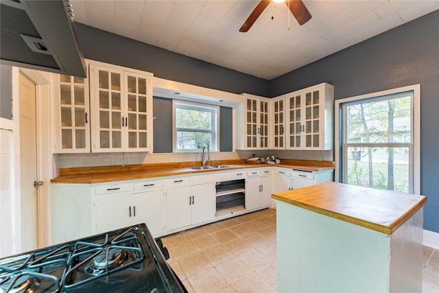 kitchen with white cabinets, ceiling fan, plenty of natural light, and sink