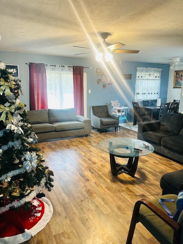 living room with wood-type flooring and a textured ceiling