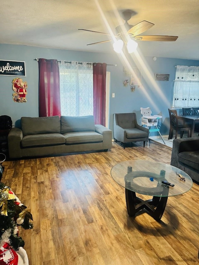 living room featuring hardwood / wood-style floors and a textured ceiling