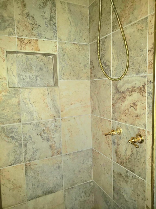 room details featuring tiled shower