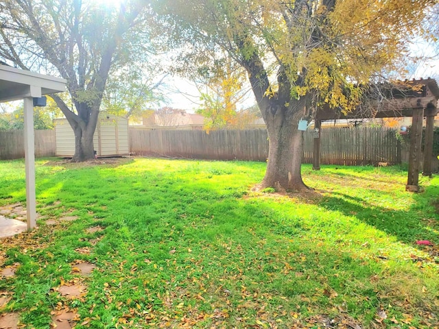 view of yard with a storage unit