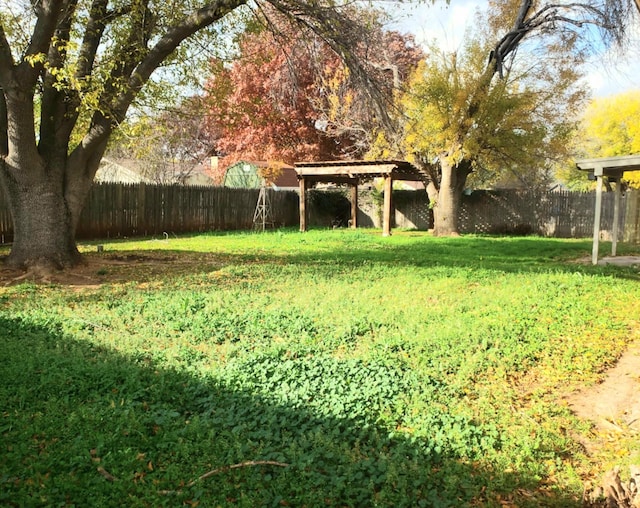 view of yard