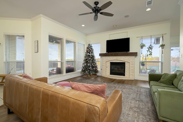 living room featuring hardwood / wood-style flooring, a fireplace, ornamental molding, and ceiling fan