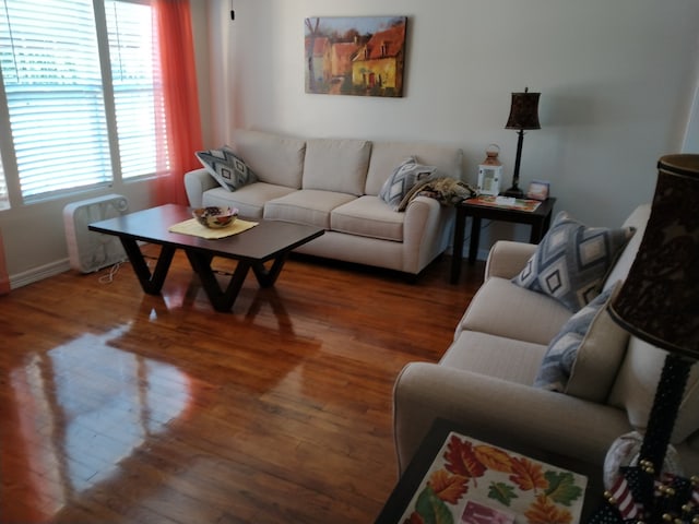 living room featuring wood-type flooring