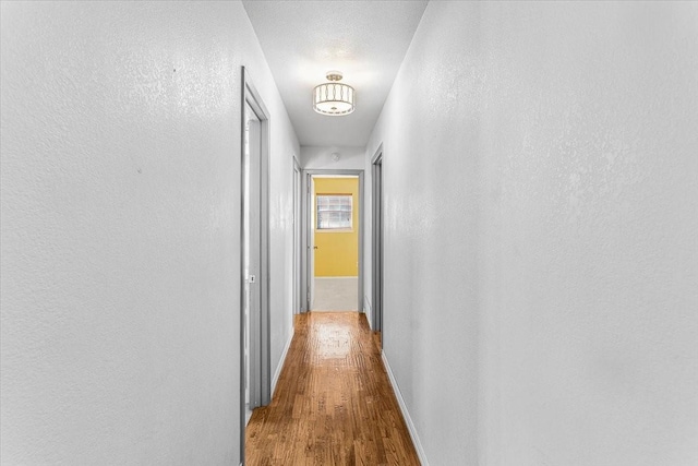 hall featuring hardwood / wood-style floors