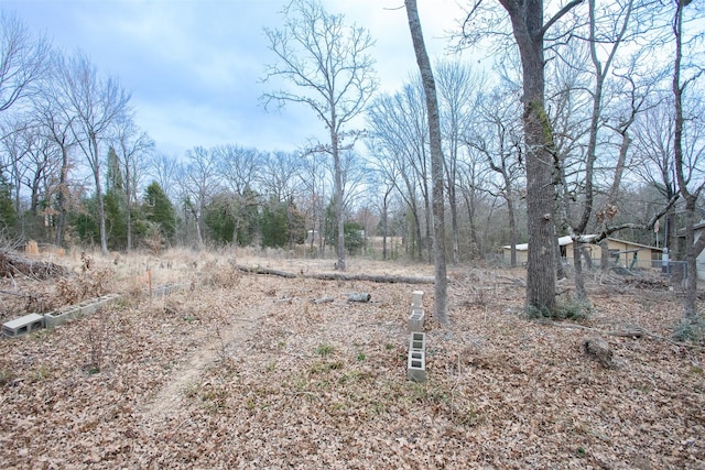 Listing photo 3 for TBD Sam Houston Dr, Log Cabin TX 75148