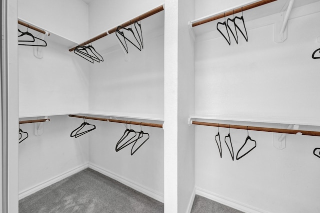 walk in closet featuring dark colored carpet and built in desk