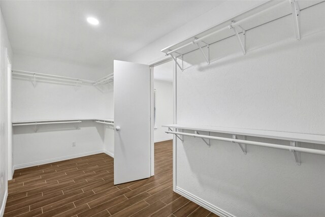 spacious closet featuring dark hardwood / wood-style floors