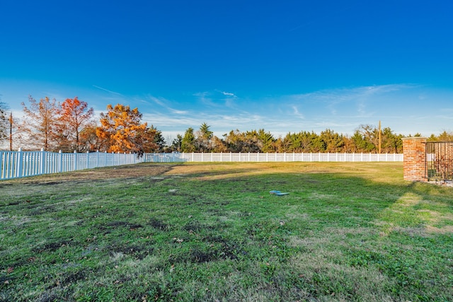 view of yard