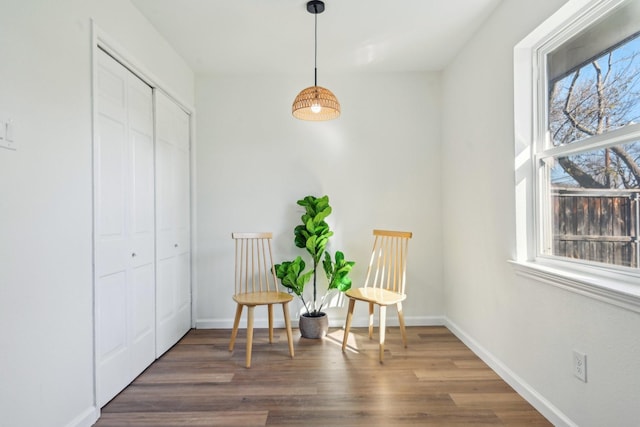 living area with dark hardwood / wood-style flooring