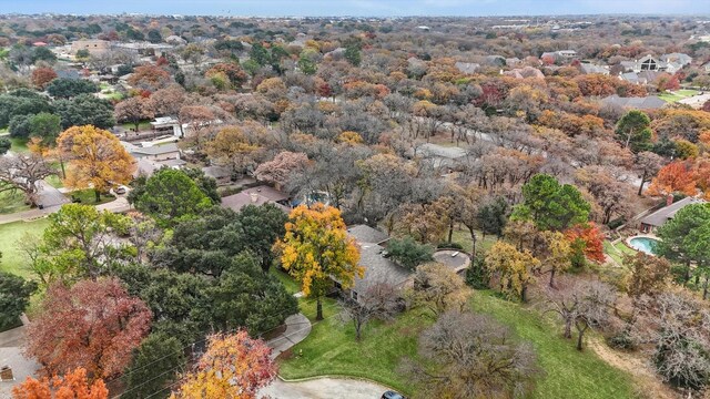 bird's eye view