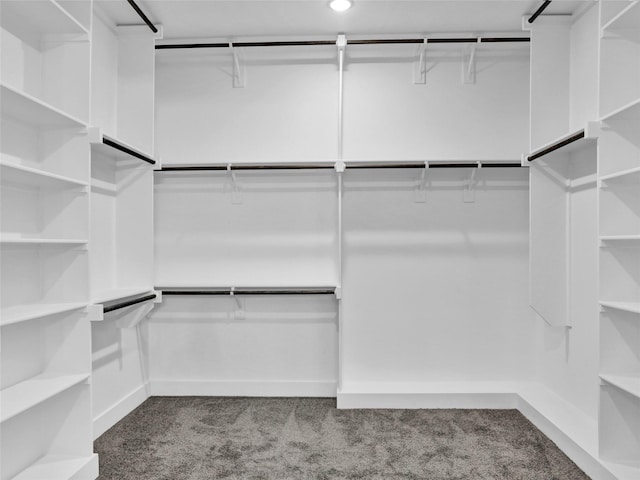 walk in closet with light carpet